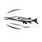 Needlefish or Long Tom Swimming Side View Retro Black and White