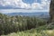 Needles Highway Landscape