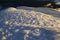 Needles of ice formed by wind at Cotopaxi