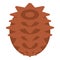 Needles pine cone icon, isometric style