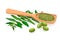 Neem branch, flowers, leaves, fruits and pods, powder in wooden spoon. Ayurveda Herb