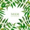 Neem leaf branch boxing frame, flowers and pods. Ayurveda Herb template