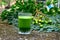 Neem medicinal herb juice in glass cup. Neem leaves, fruits on abstract background. Ayurvedic raw material.