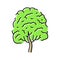 neem tree jungle amazon color icon vector illustration