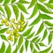 Neem vector pattern