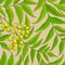 Neem vector pattern