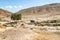 The Negev Desert