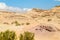 The Negev Desert