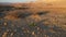 Negev desert landscape at sunrise on the bottom of the crater Makhtesh Gadol, in the south of Israel