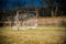 Neglected football playground