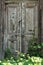 Neglected front double doors overgrown with grape weeds