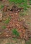 NEGLECTED PRELLER GRAVE IN THE PRELLER FARM CEMETARY AT WELGEGUND, BRITS