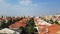 Neighborhood of detached houses with palms trees in the streets and the general cityscape, aerial