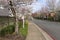 Neighborhood Spring blooms and homes in Kent Washington