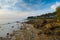 Neil Island Landscape Andaman Rocky Coast