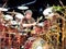 neil peart pictures
