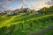 Neive village and Langhe vineyards, Piedmont, Italy Europe