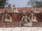 Nek Chand Rock Garden, Chandigarh, India