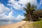 Nelly Bay Jetty and Palm Trees, Magnetic Island Townsville