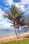 Nelly Bay Jetty and Palm Trees, Magnetic Island Townsville Australia