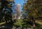 Nelson cathedral with trees in parkland