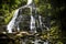 Nelson Falls, Tasmania