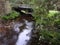 Nelson Falls Track, Tasmania