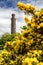 Nelson monument, Edinburgh