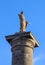 Nelson\'s Column in Montreal Canada, a monument erected in 1809 at Place Jacques-Cartier