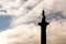 Nelson`s column silhouette in Trafalgar Square, London against a cloudy sky at dusk