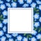 Nemophila Baby Blue Eyes Flower on Indigo Banner Card. Vector Illustration