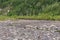 Nenana River in Denali Park, AK, USA