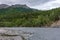 Nenana River streams under forest in Denali Park, AK, USA