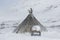 Nenets reindeer herders choom