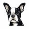 Neo-pop Boston Terrier Dog Illustration In High Contrast Composition