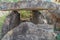 Neolithic age dolmens at Marayoor in Munnar,