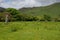 Neolithic Bronze Ages Standing Stones at Lochbuie on the Isle of Mull, Scotland