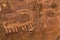 Neolithic petroglyphs on the Queen Victoria Rock near Riyadh