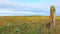 The neolithic Ring of Brodgar in Orkney, Scotland