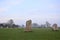 Neolithic stones in Avebury. Winter