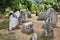 Neolithic stones of Portugal