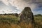 Neolitic menhirs