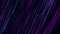 Neon abstract rain background. Violet, red and blue lines on black.