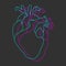 Neon blue and purple synthwave human heart line on dark grey background