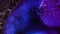 Neon blue violet dark purple colors ink. Liquid colorful amazing organic background. Explosion in galaxy cluster. Eye of