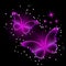 Neon butterflies on dark background. Shining background with butterflies.