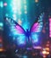 Neon Butterfly