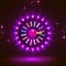 Neon colorful fortune wheel. purple background. Vector