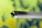 Neon or fluorescent bulb tube which is burnt or bad as it can be seen as there is black or dark part of glass near the edge of a