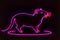 Neon glowing outlined illustration of colorful gerbil, mouse, hamster